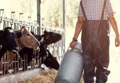 Las pymes lácteas advierten que faltan insumos y ‘está en riesgo la producción’ por las trabas a la importación