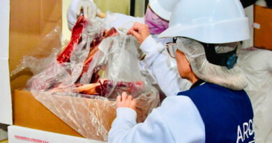 Chaco: Exporta de más de 20 toneladas de carne caprina con destino a Omán