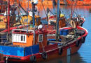 Langostino: la flota retomó la pesca con bajos rindes en las subáreas abiertas