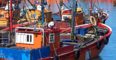 Langostino: la flota retomó la pesca con bajos rindes en las subáreas abiertas
