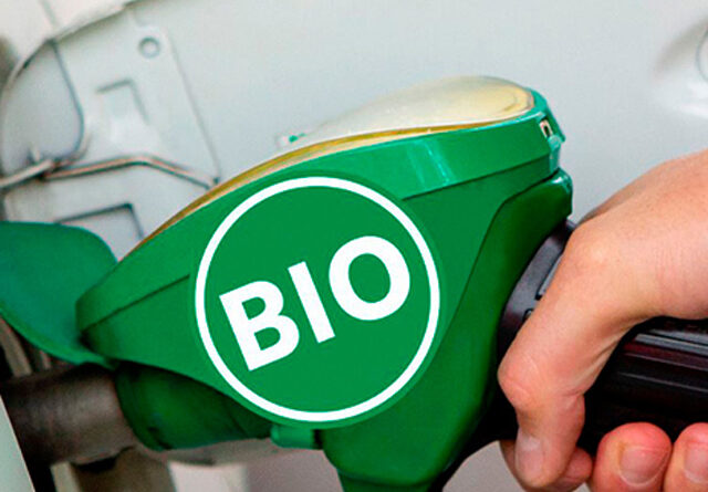 Biodiésel: traba en la nueva ley de biocombustibles