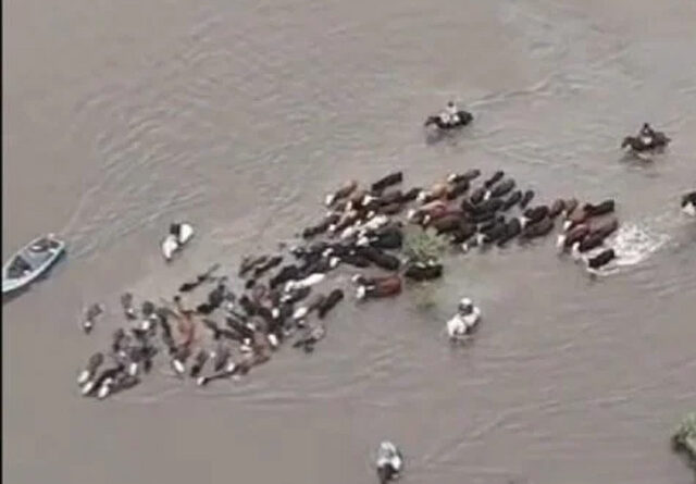 Santa Fe inundaciones: crece la preocupación por el impacto que podría tener El Niño