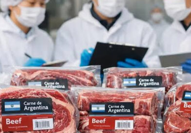 El mercado japonés habilita la carne argentina, pero el sector advierte por los costos de ingreso
