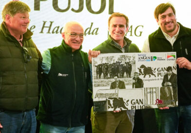 Los remates ganaderos con lugar propio en el Angus de Primavera 2026