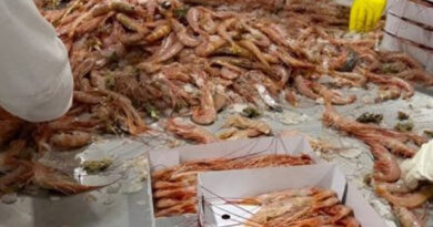 Panorama pesquero: inversiones en puertos, el cierre de zafra del langostino y el debate por los recursos en el Atlántico Sur