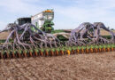 Se acelera la siembra de maíz temprano, el área sube 200.000 ha