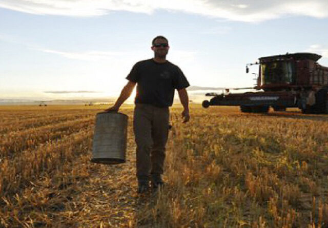 Noticias del Agro en Sudamérica: Exportaciones, Desafíos Económicos y Sanidad Animal