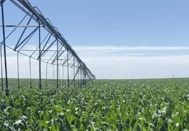 Boom del riego: el RIMI desata inversiones por U$S 185 millones