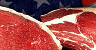Hito Histórico: Argentina Agota en Nueve Meses el Cupo Ampliado de 100.000 Toneladas de Carne a EE. UU.