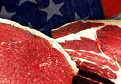 Hito Histórico: Argentina Agota en Nueve Meses el Cupo Ampliado de 100.000 Toneladas de Carne a EE. UU.