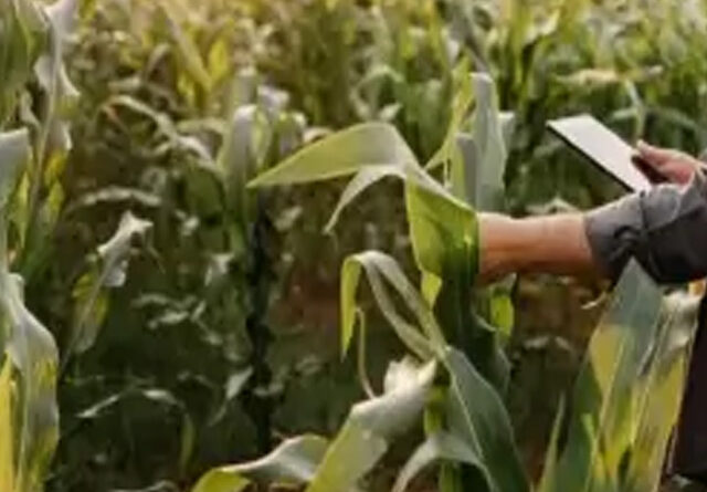 Rentabilidad y valor de la tierra: por qué el campo argentino proyecta un mejor futuro que EE. UU.