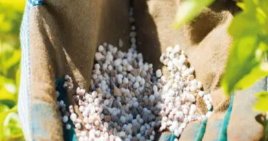 Costos del Agro: Cómo Impacta la Tensión Global en el Precio de los Fertilizantes