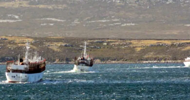 La Justicia investiga por contrabando a pesqueras extranjeras que operan en Malvinas