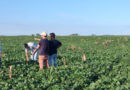 Estrategia a dos puntas: las empresas del agro apuestan a combinar importaciones con producción local