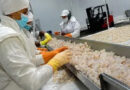 Nuevas reglas de bioseguridad para la producción comercial de peces