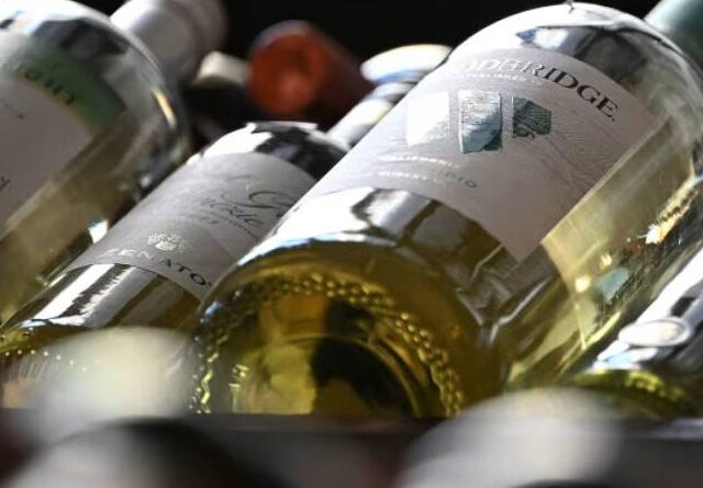 Radiografía de la copa: qué vinos elegimos hoy frente a un consumo que cambia de hábitos