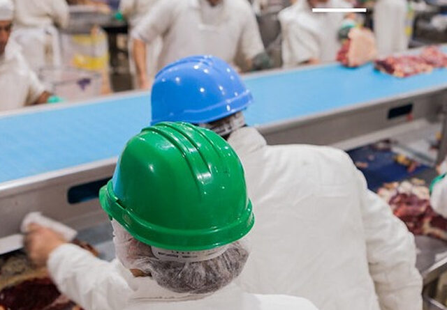Argentina recibió 60 auditorías sanitarias y se consolida como exportador agroindustrial