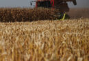 Campaña 2025/26: El agro invirtió casi US$ 15.000 millones y el 70% se apalancó con crédito
