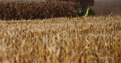 Campaña 2025/26: El agro invirtió casi US$ 15.000 millones y el 70% se apalancó con crédito