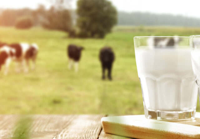 La calidad de la leche argentina alcanza su nivel más alto en 12 años