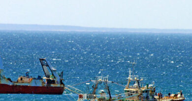 La pesca suma divisas, abre mercados y fija nuevas reglas
