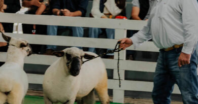 La producción ovina mostró todo su potencial en ArgenCarne 2026