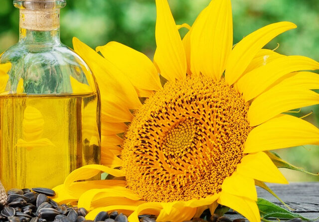 El aceite de girasol sostiene sus precios pese a la mayor cosecha