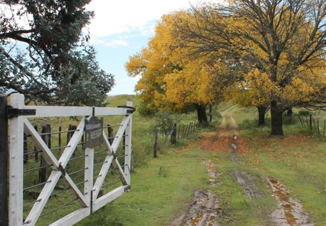 La Pampa presentó su propia ley de Tierras y advirtió por la «inexistencia» de normativa nacional