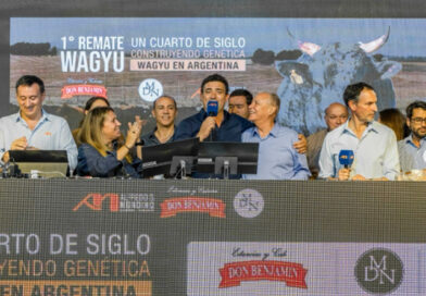 Remate histórico de la raza Wagyu en Argentina